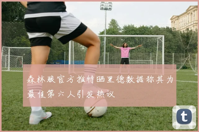 森林狼官方推特晒里德数据称其为最佳第六人引发热议